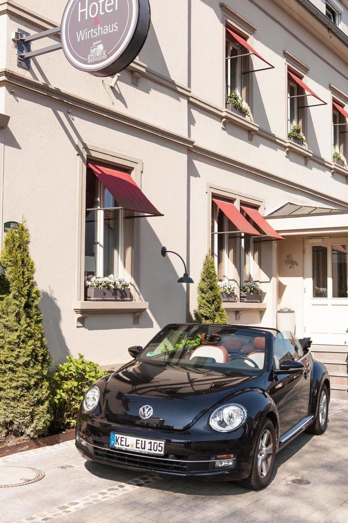 Der Rebstock Art&design